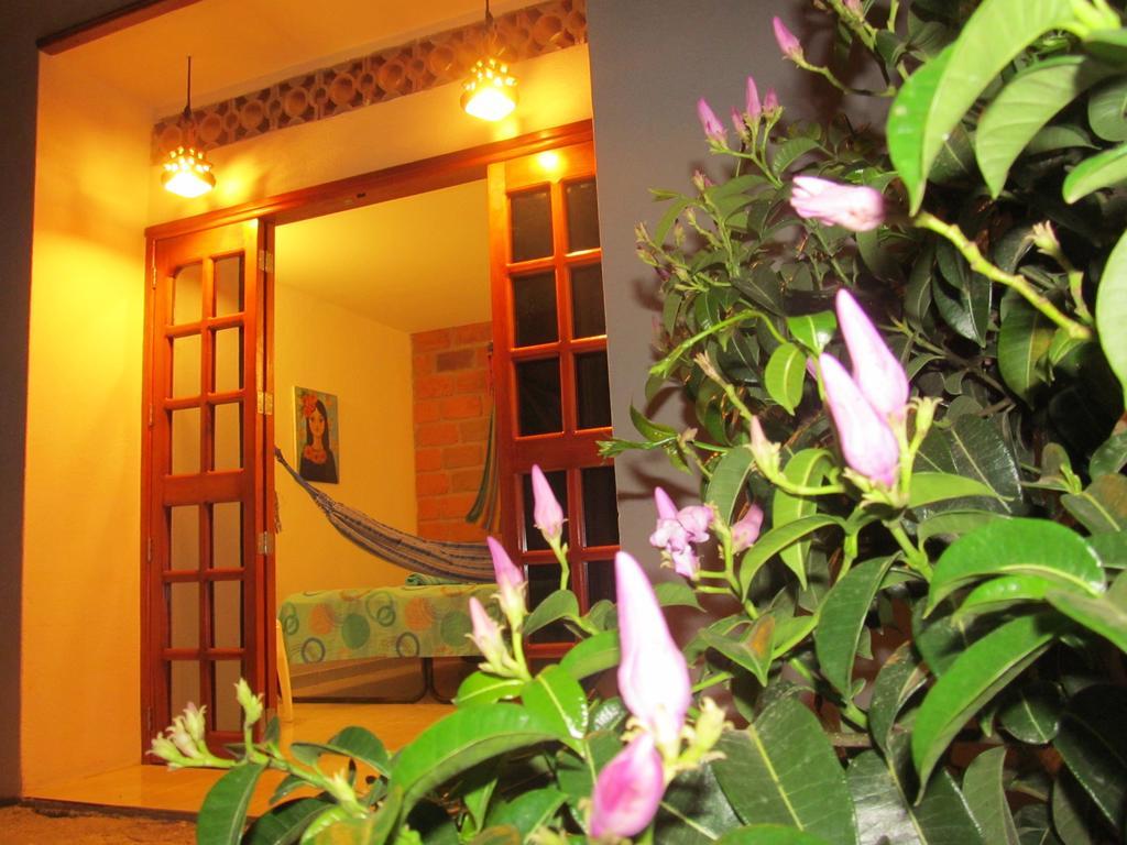 Casa Tara 2*
