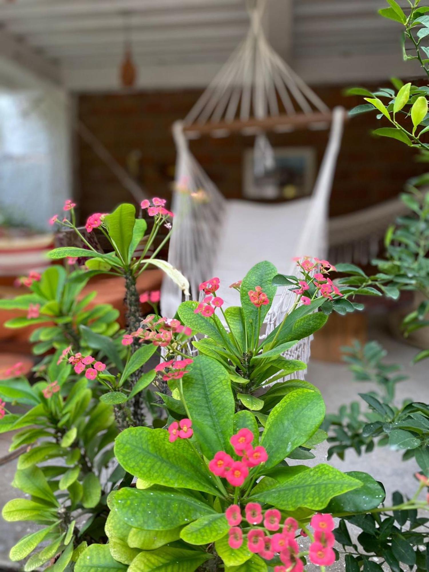 Casa Tara Taganga